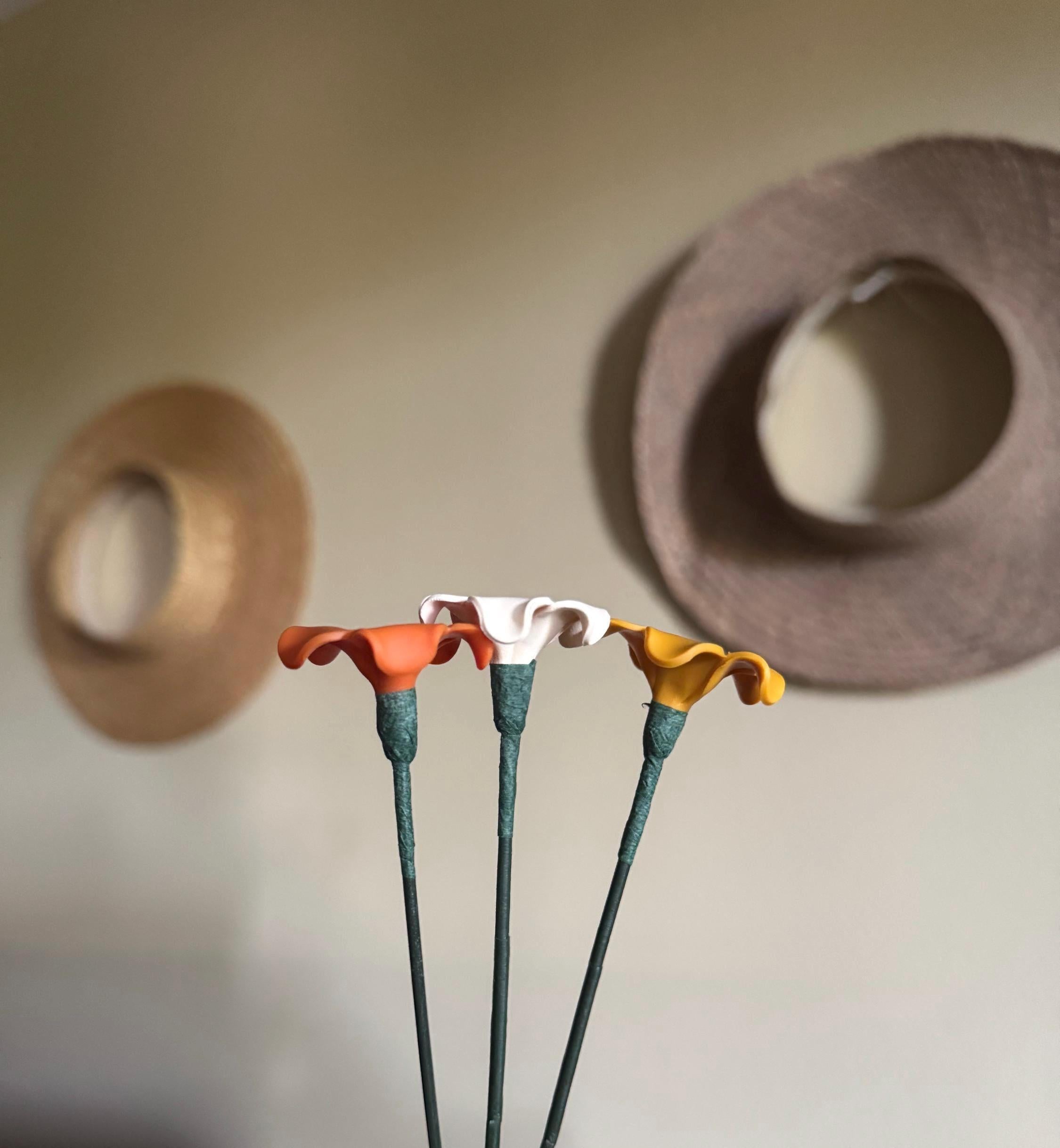 Puakenikeni Picks