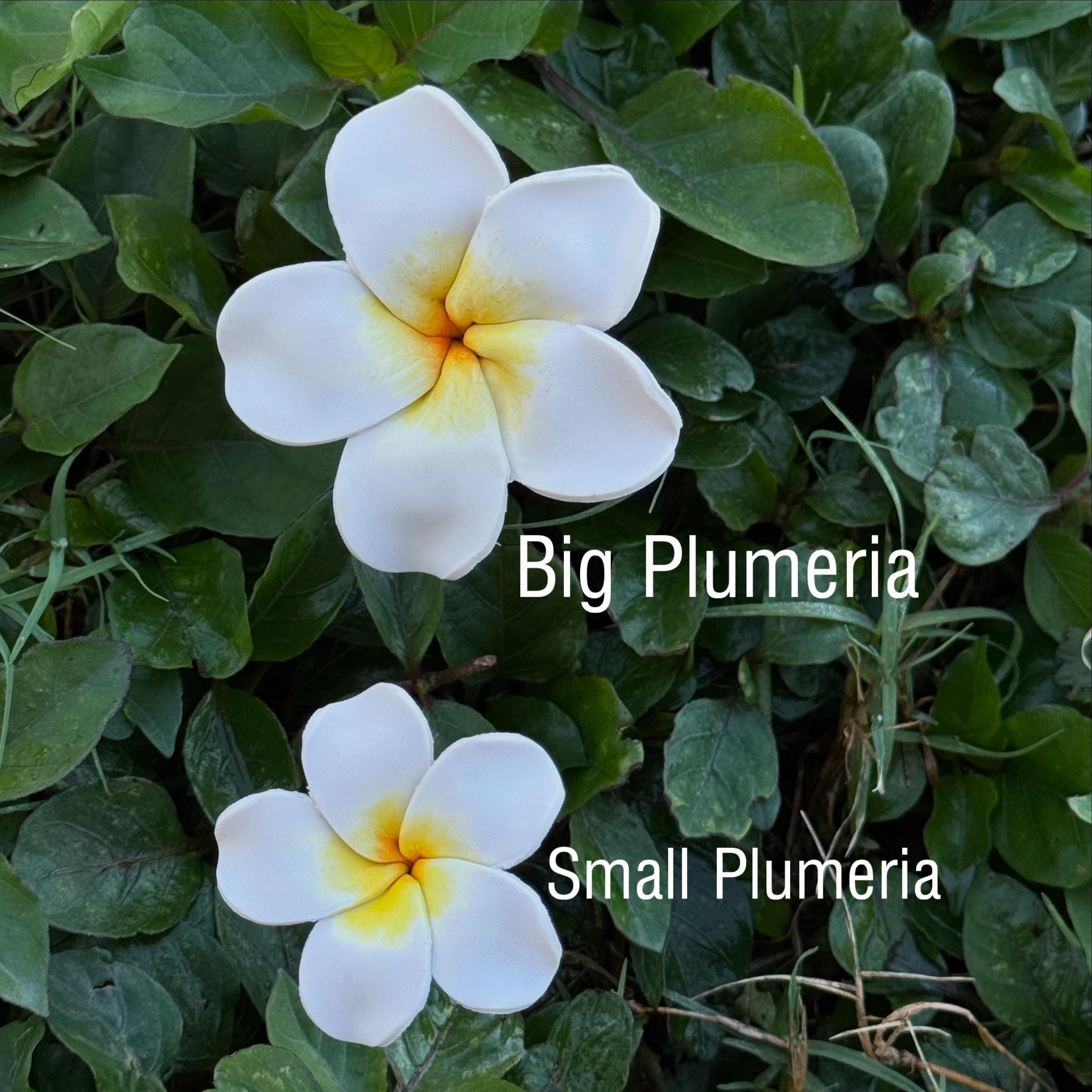 Polymer Clay Plumeria Picks